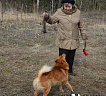 Гайна № RKF3415682, 20.08.12, вл. Парамонов Н.А., г. Москва