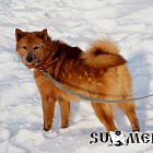 Рус-Фин № RKF2405005, 23.01.08.