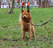 Один № RKF5669668, 15.12.19, вл. Рыбкин А.В., г. Зеленоград