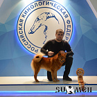 Клуб Суомен Даян № RKF4620559, 22.04.16., вл. Яценко С.Н., Московская область