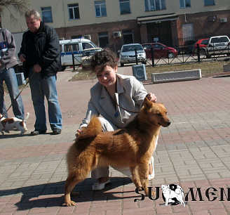 Брусника № RKF2523664, 25.02.08., вл. Балашова А.Ю., Ленинградская обл.