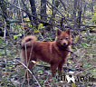 Бьянка № RKF2971607, 30.04.11., вл. Габдулхаков Р.Р., Татарстан