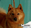 Рик № RKF3542357, 22.02.13., вл. Кубышина Н.А., Тульская область