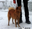 Каянни № RKF3278663, 28.03.12, вл. Саратокин П.В., г. Инта