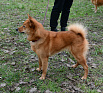 Олла № RKF0000000, 04.10.20, вл. Иванова И.В., г. Москва
