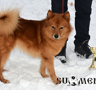 Хан № RKF4073861, 02.11.14., вл. Савченко В., г. Нижневартовск